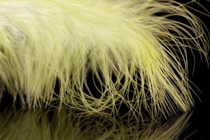 A. Jensen Blood Quill Marabou - chartreuse